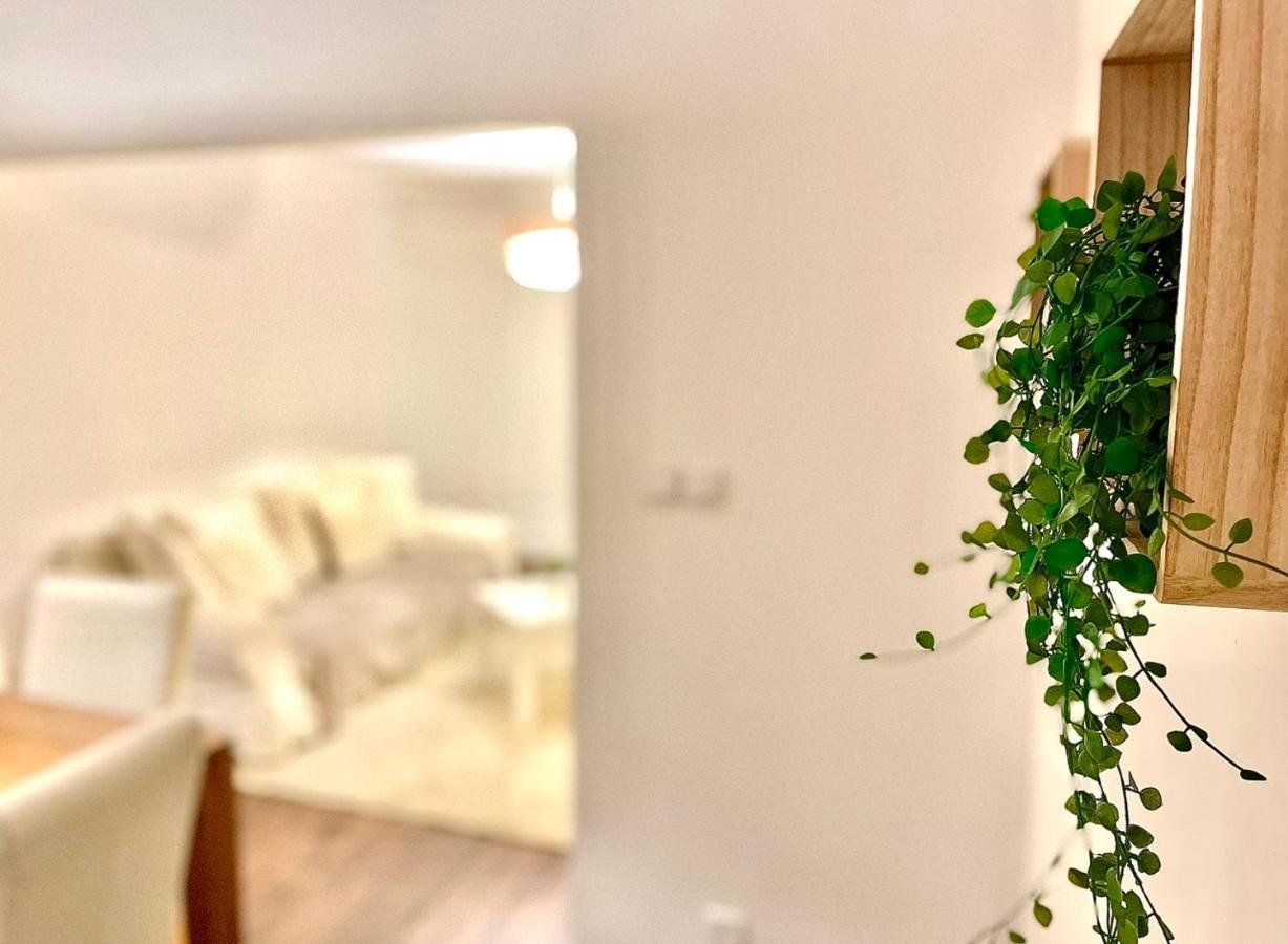 *fontaine Moussue*hyper Centre*t2 Standing* Appartement